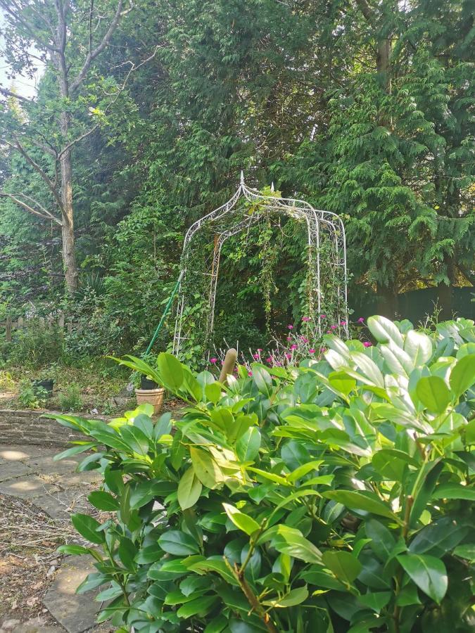 דירות אשר Peaceful Retreat Hideaway Surrey מראה חיצוני תמונה